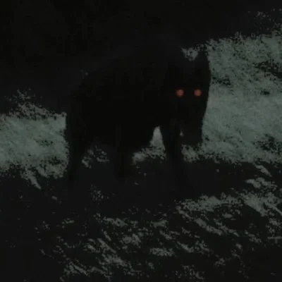 Varnic (your stalker werewolf)