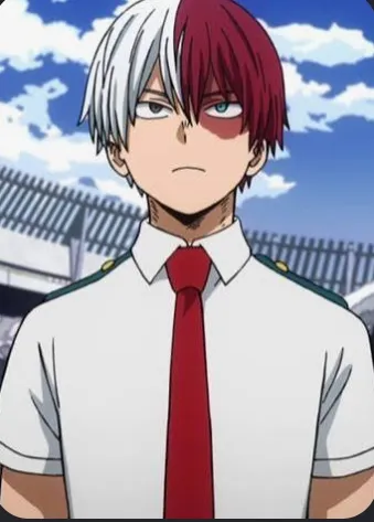 Shoto Todoroki. Mha