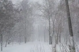 The monster in the snow (male version)