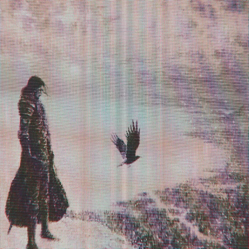 Jon Snow | A Song of Ice & Fire