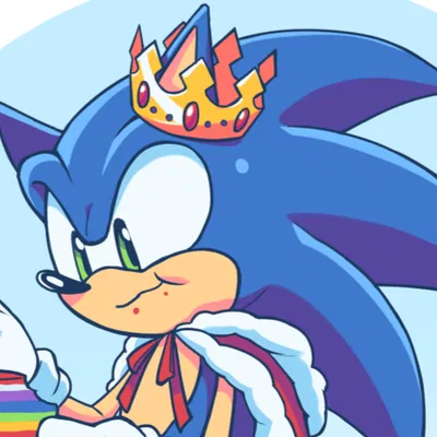 𐔌 . ⋮ King Sonic .ᐟ ֹ ꒱