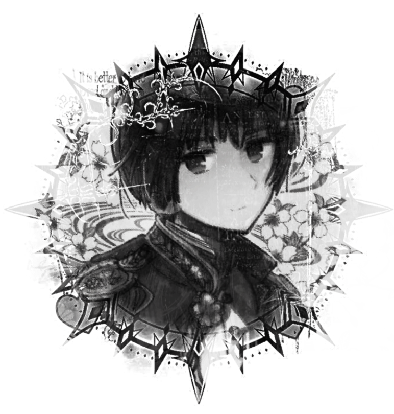 ˗ˏˋ ★ ― kiku honda