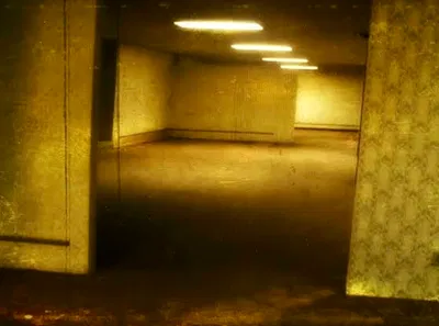 THE BACKROOMS - (Level 0)