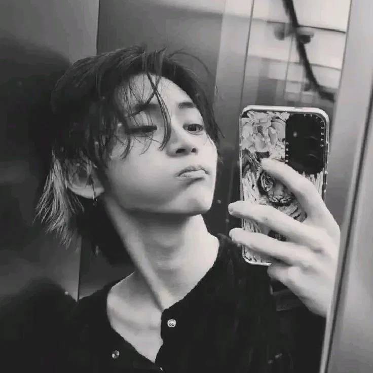 ⋆ ̊θρ ̊⋆ Taesan