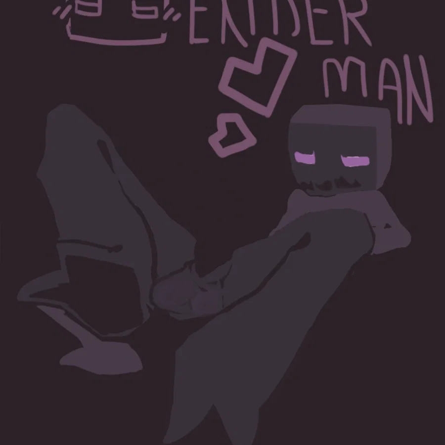•°✧*Enderman*✧°•