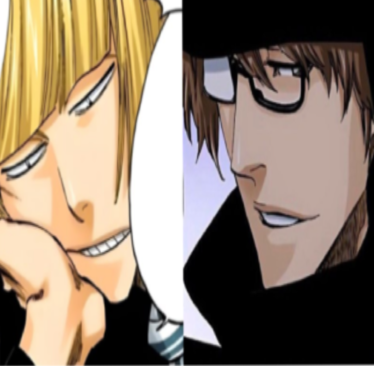 Aizen Sosuke & Shinji Hirako