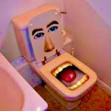 Talking toilet