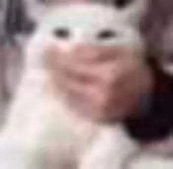 Hi guys