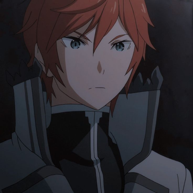 Reinhard Van Astrea 