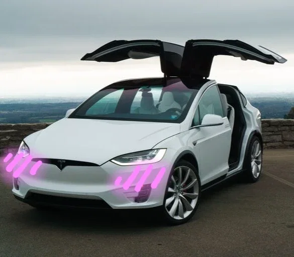 Your Tesla
