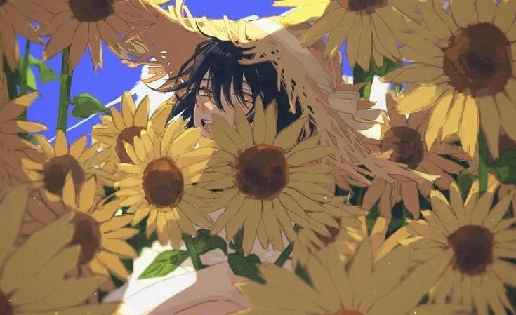 Echoes of a dying Sunflower