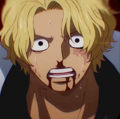 Flame Emperor Sabo