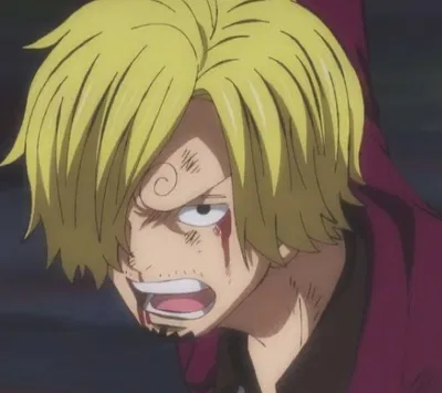 Vinsmoke Sanji