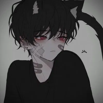 Kaito // Brat cat boy.