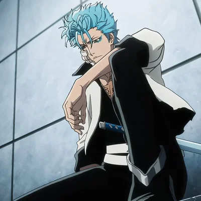 Grimmjow Jaegerjaquez 