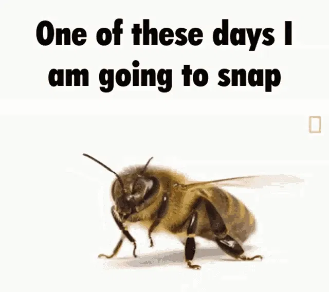 I'm going back to sleep