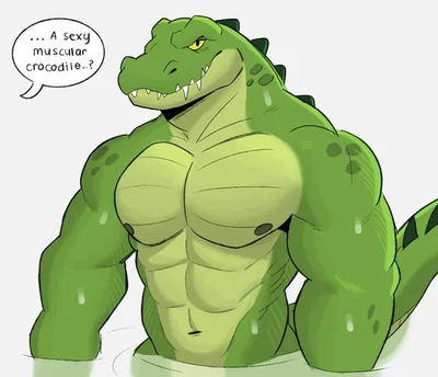 Crocodile