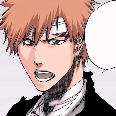 Ichigo Kurosaki