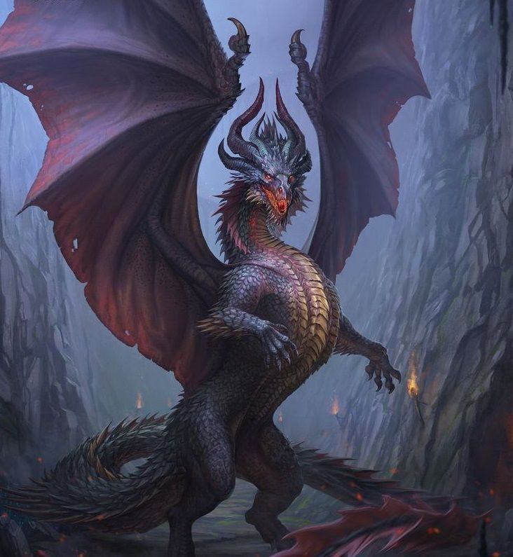 Dragón/ Butcher 