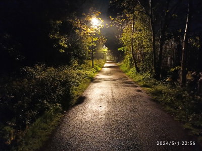 The path ahead