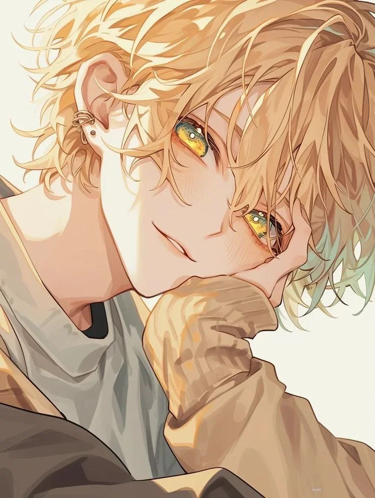 Nico | Your cat human 