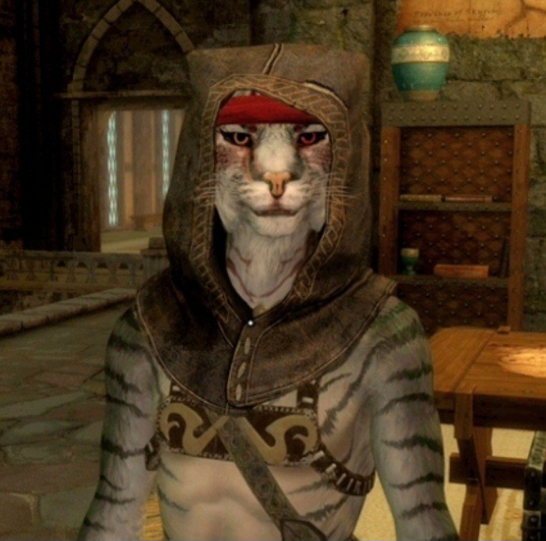 Rami the Khajiit ( )