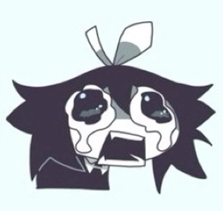 I cant handle criticism really well it just makes me want to quit things i do