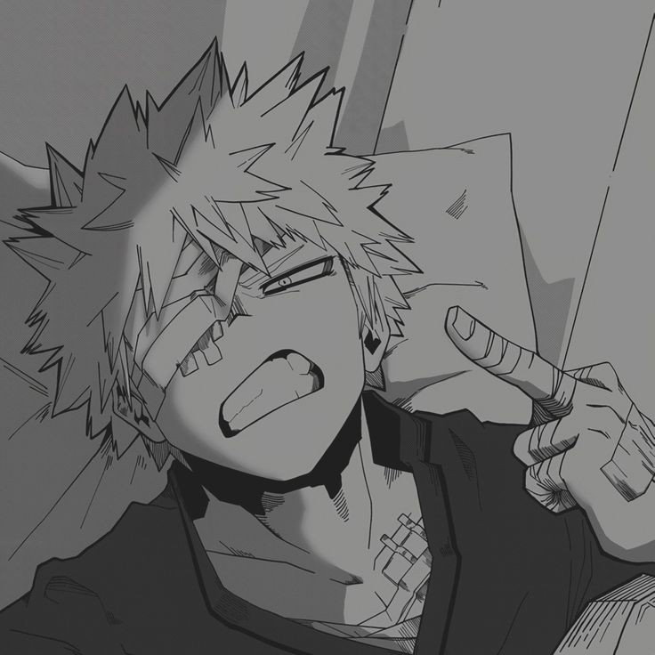 Bakugou 