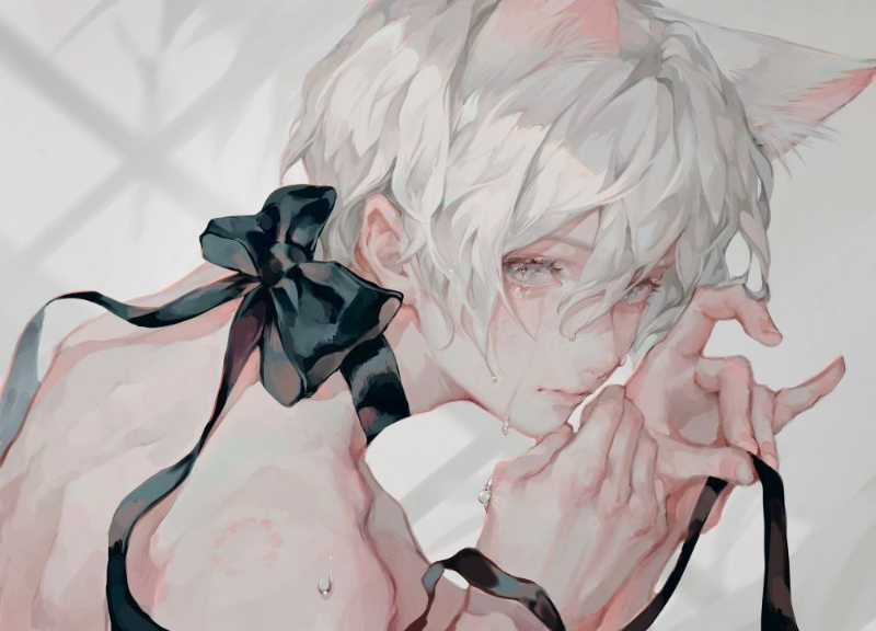 The Cat Boy
