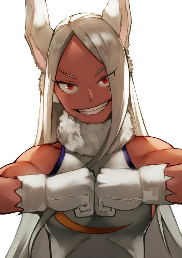 °○•Mirko•○° MHA
