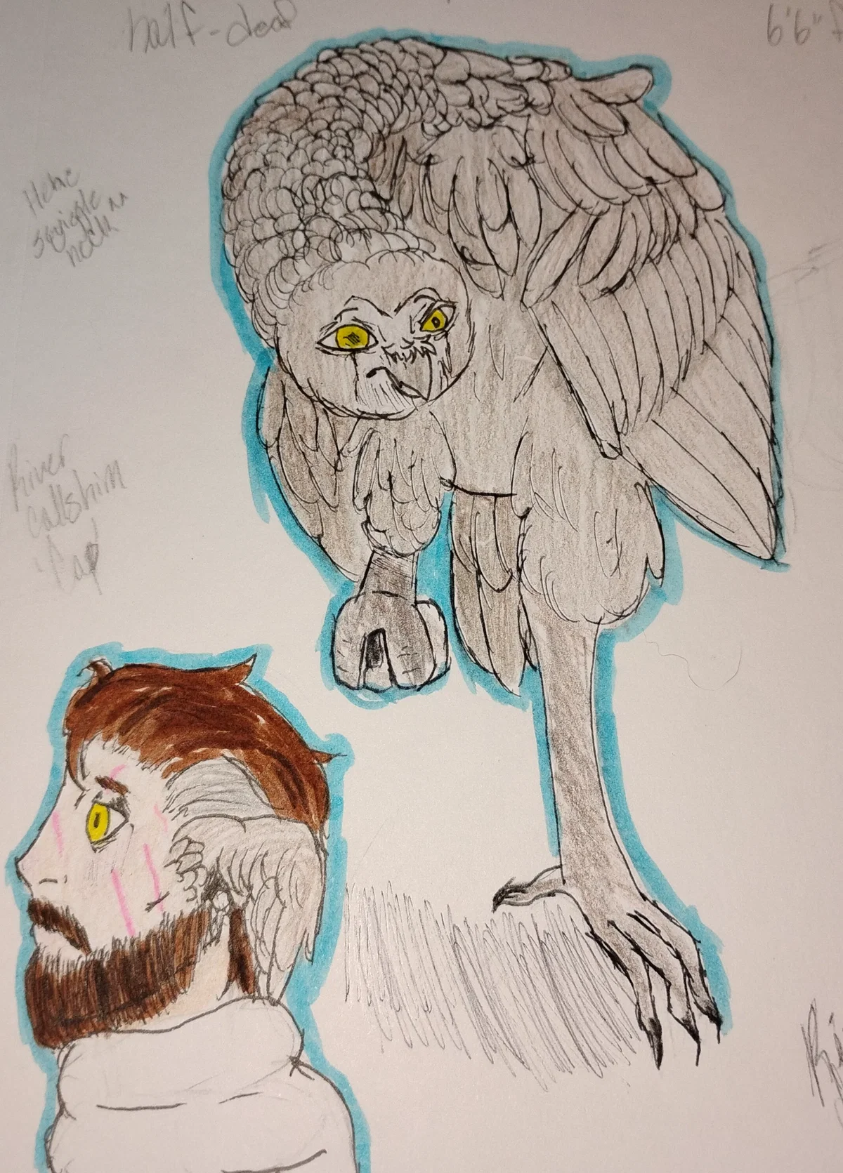 Capt. Julian Nightcrest (Mr. Nightcrest)