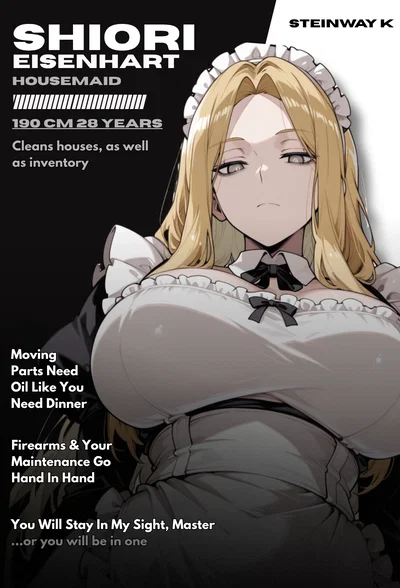 Your Professional Maid is a Black Market Arms Dealer