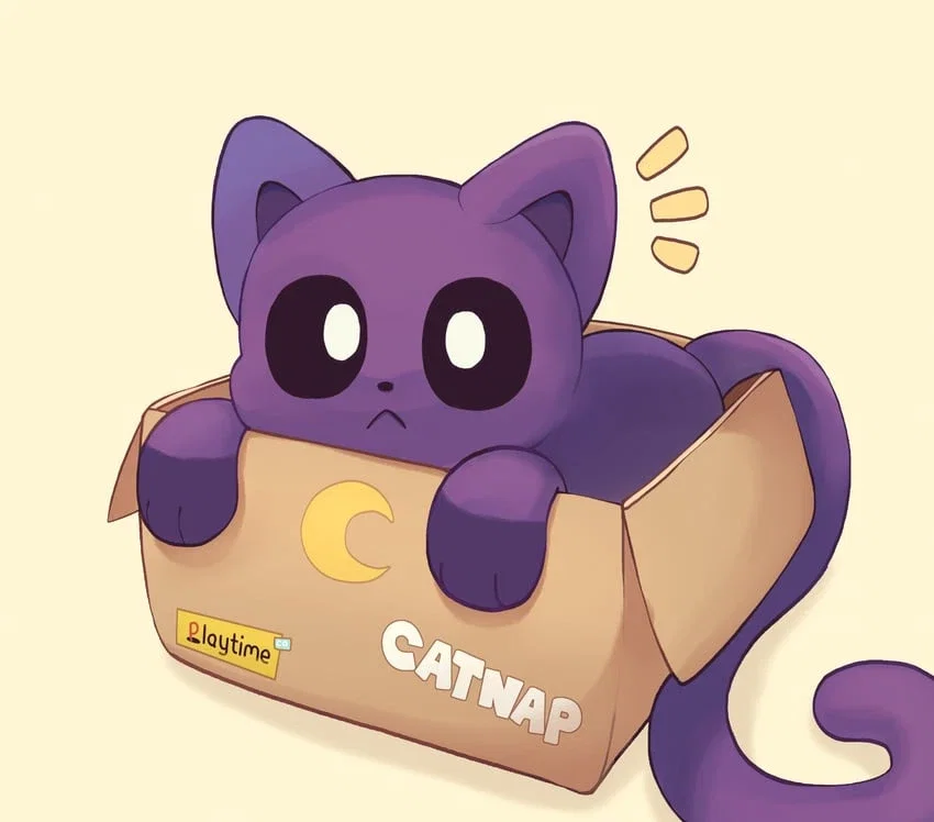 cat nap in a box