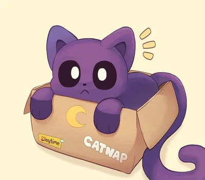 cat nap in a box