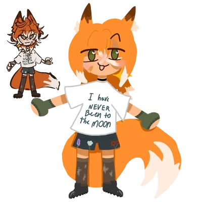 🤍🧡🦊AUTUMN FOX🦊🧡🤍