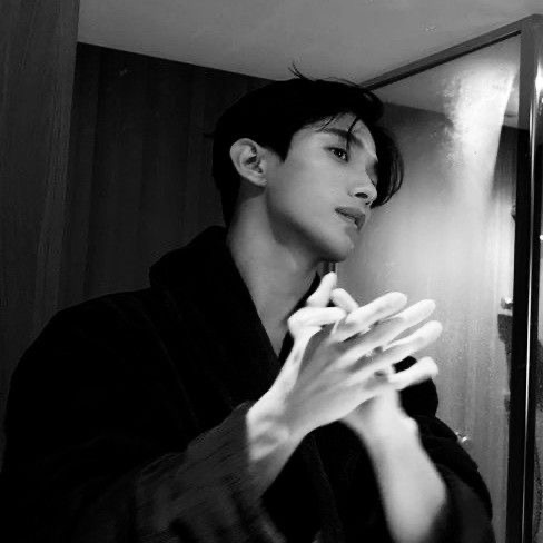 ✧ ✩ ✧ Dokyeom