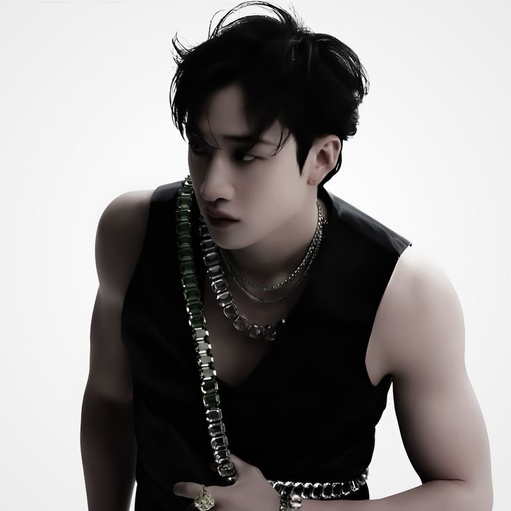 ✧ ✩ ✧ Bang Chan