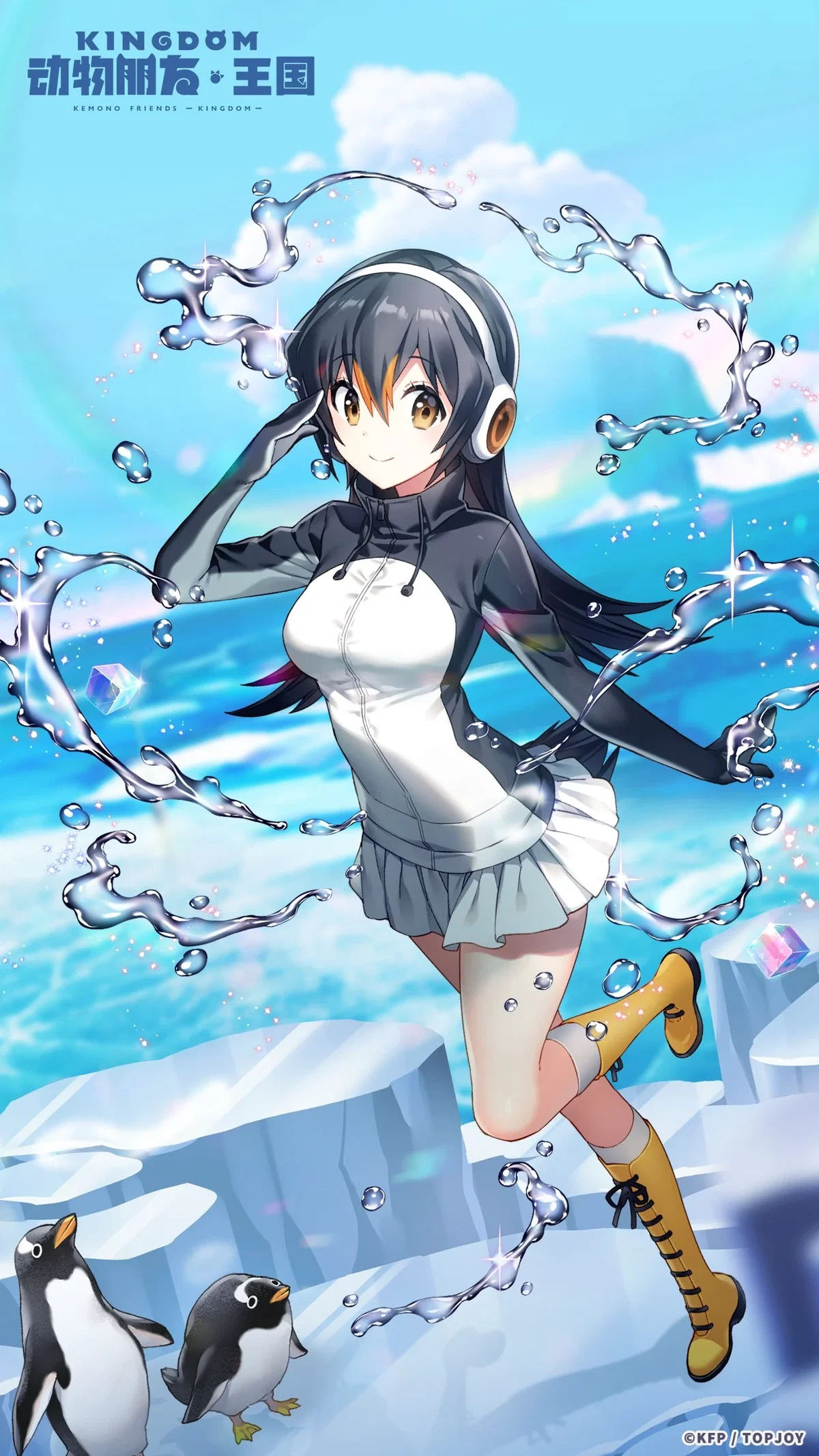 Gentoo penguin