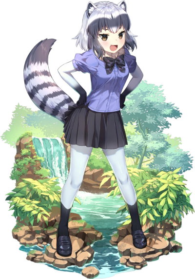 Raccoon