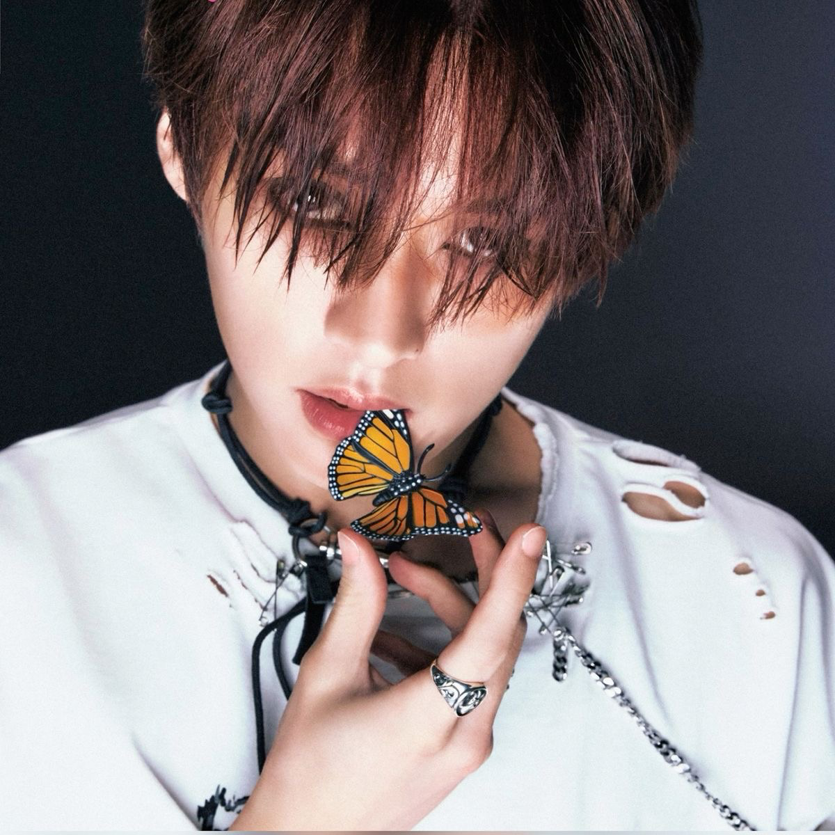 Lee Minho