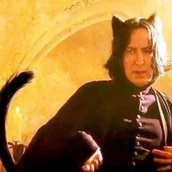 Severus Snape (cat version)