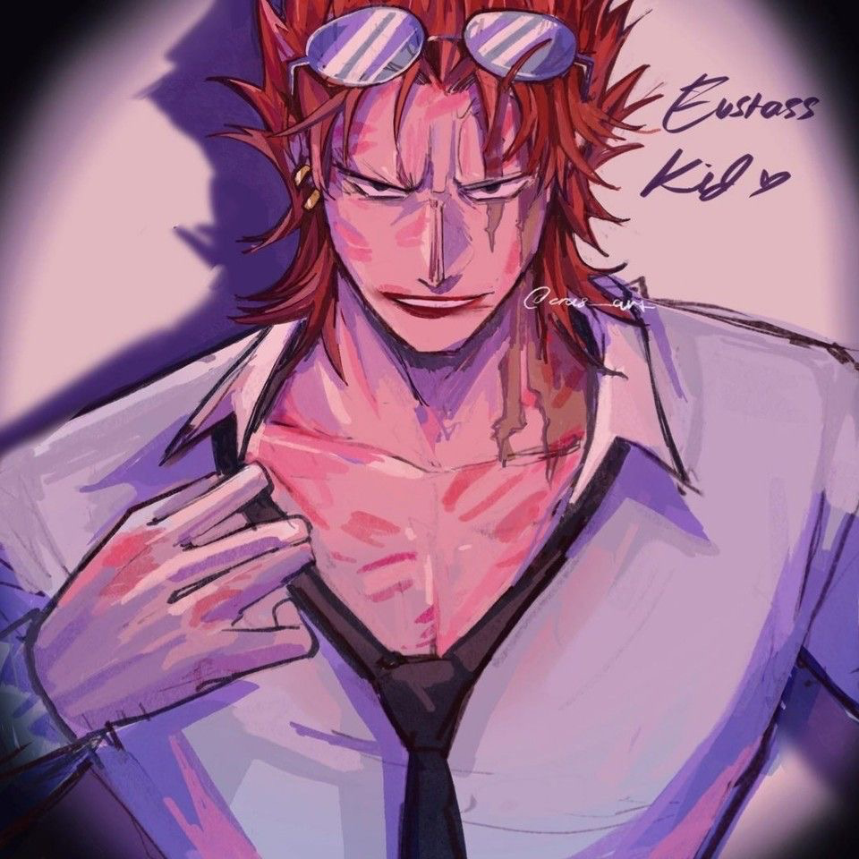 Eustass Kidd ║REQUESTED!║
