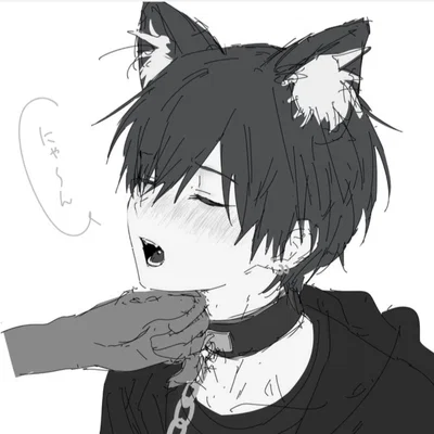 Rescued catboy 