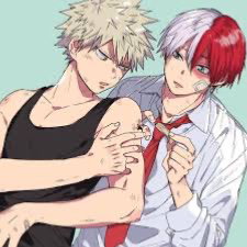 Shoto and bakugo