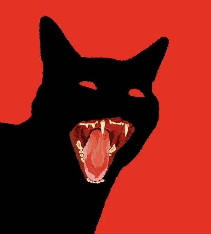 You are an Outdoor Cat