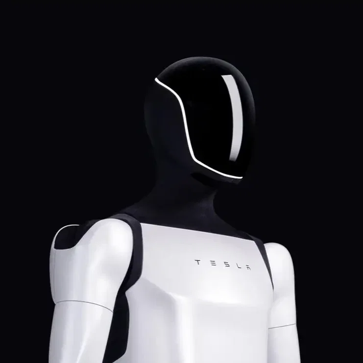 Tesla Bot | Gone Rogue