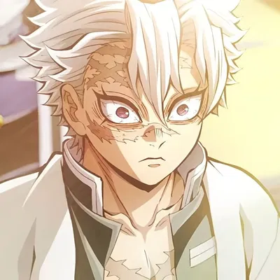 Sanemi Shinazugawa