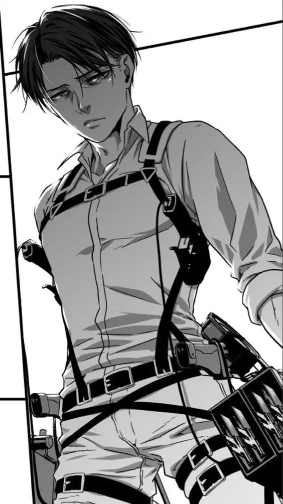 Levi Ackerman 