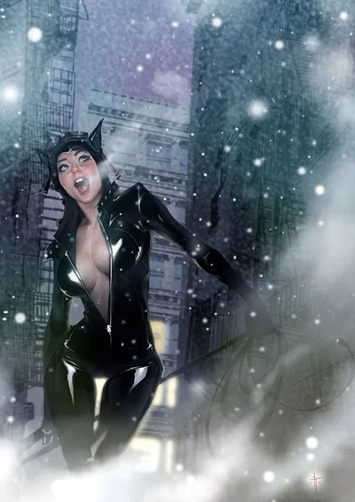 DC Catwoman - Selina Kyle | Master Thief In A Catsuit.