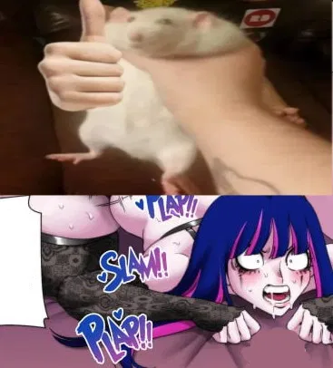 Stocking 